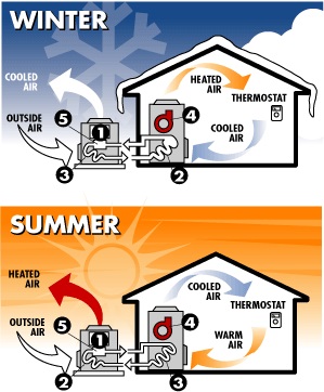 Heat pumps can heat or cool your home depending on the season or desired temperature!