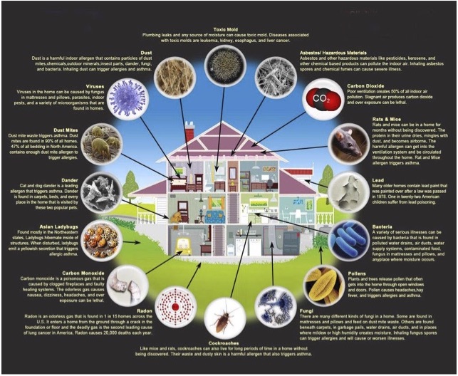 Common toxins and pollutants in the home cropped Common toxins and pollutants in the home cropped